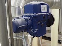 Bernard - afbeelding 1 van  4