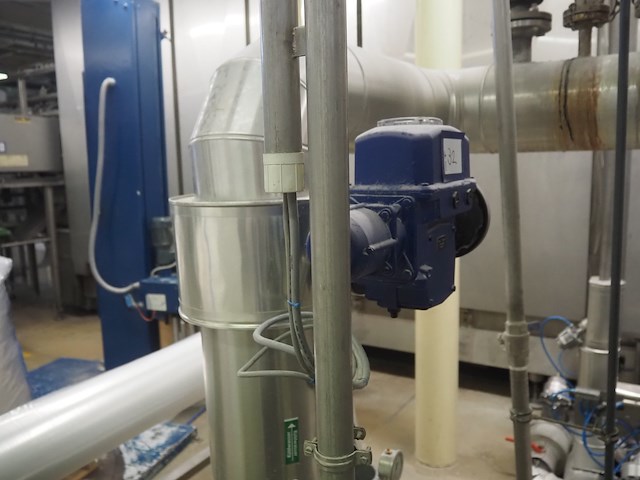 Bernard - afbeelding 2 van  4