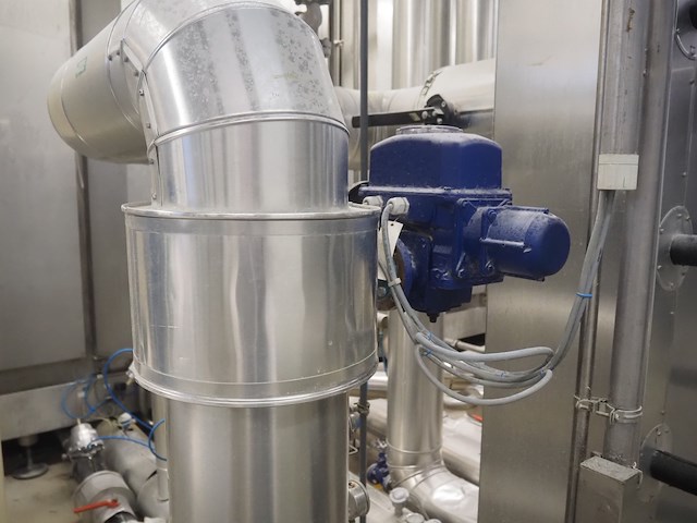 Bernard - afbeelding 3 van  4