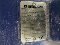 Bernard - afbeelding 4 van  4