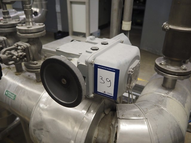 Bernard - afbeelding 3 van  4