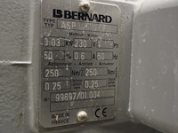 Bernard - afbeelding 4 van  4