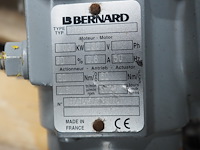Bernard - afbeelding 4 van  20