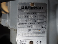 Bernard - afbeelding 8 van  20