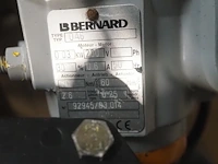 Bernard - afbeelding 8 van  8