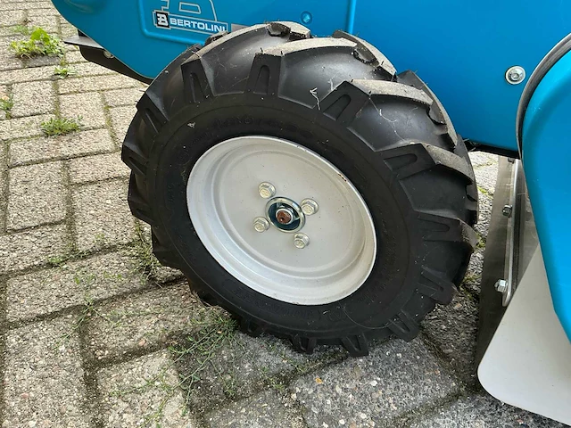 Bertolini bts50 klepelmaaier - afbeelding 12 van  17
