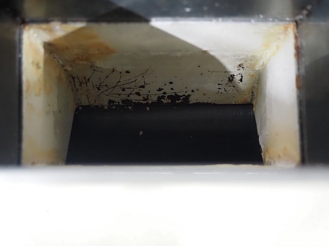 Bertrand - afbeelding 8 van  12