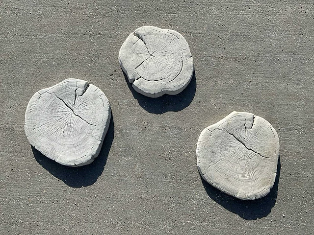 Beton boomschijf staptegel (12x) - afbeelding 1 van  7