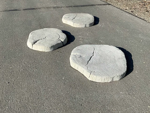 Beton boomschijf staptegel (12x) - afbeelding 7 van  7