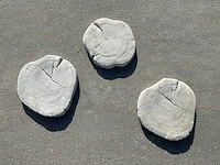 Beton boomschijf staptegel (20x)
