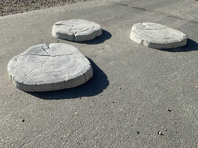 Beton boomschijf staptegel (20x) - afbeelding 4 van  7