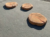 Beton boomschijf staptegel (7x) - afbeelding 3 van  6