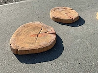Beton boomschijf staptegel (7x) - afbeelding 4 van  6