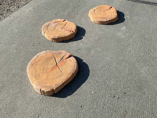Beton boomschijf staptegel (7x) - afbeelding 5 van  6