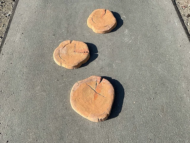 Beton boomschijf staptegel (7x) - afbeelding 6 van  6