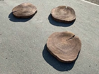 Beton boomschijf staptegel (8x) - afbeelding 1 van  7