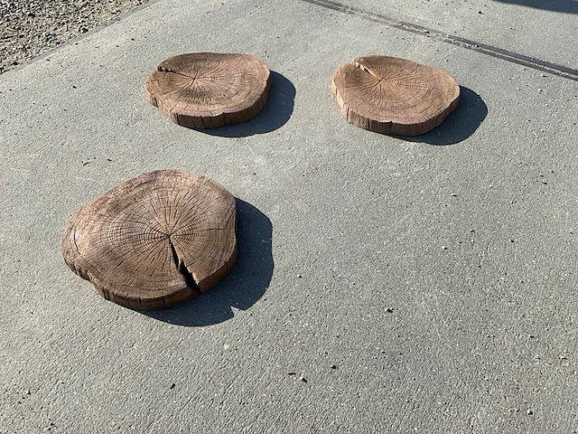 Beton boomschijf staptegel (8x) - afbeelding 2 van  7