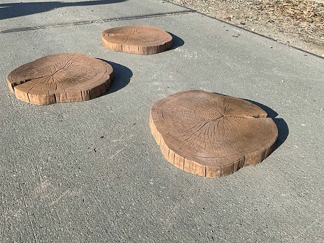 Beton boomschijf staptegel (8x) - afbeelding 4 van  7