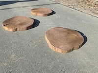 Beton boomschijf staptegel (8x) - afbeelding 4 van  7