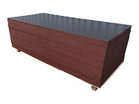 Betonplex 18mm 3276x1190x18mm. (5x) - afbeelding 3 van  4