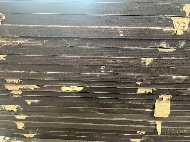 Betonplex plaat 2500x1250x18mm (45x) - afbeelding 10 van  10
