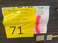 Betonplex plaat 2500x1250x18mm (50x) - afbeelding 3 van  11