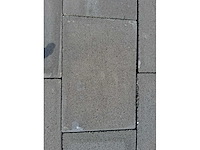 Betonstenen (ca. 43,2m²) - afbeelding 3 van  3