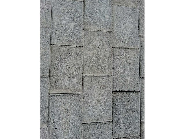 Betonstenen (ca. 50,76m²) - afbeelding 2 van  4