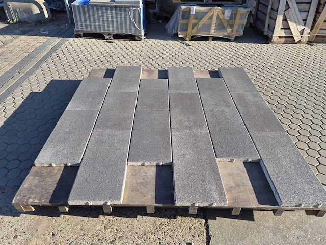Betontegels voor de tuin (ca. 120,14m2) - afbeelding 1 van  4