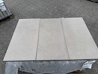 Betontegels voor de tuin (ca. 16,61m²) - afbeelding 1 van  3