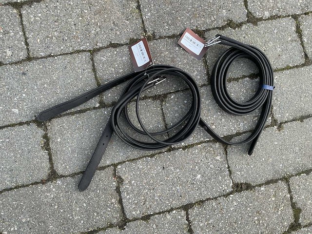 Beugelriem paarden (2x) - afbeelding 4 van  5