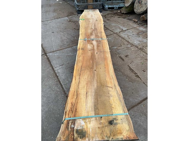 Beuken stam 55 mm ca. 0,686 m³ - afbeelding 5 van  5
