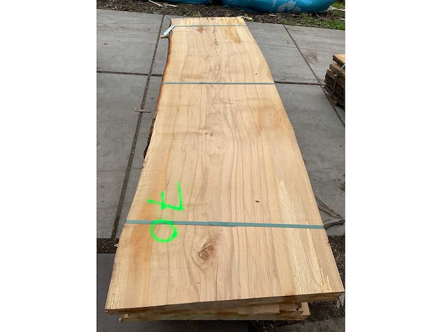 Beuken stam 70 mm ca. 1 m³ - afbeelding 5 van  5