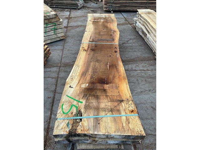 Beuken stam 75 mm ca. 1,235 m³ - afbeelding 5 van  5