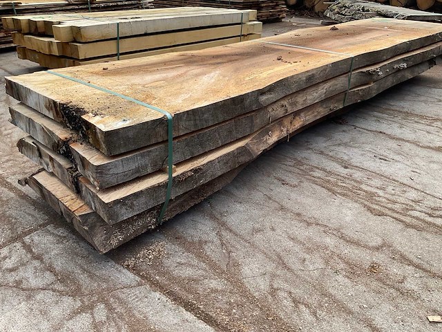 Beuken stam 75 mm ca. 1,235 m³ - afbeelding 3 van  5