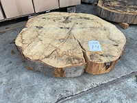 Beuken stamschijf 100 mm - afbeelding 1 van  2