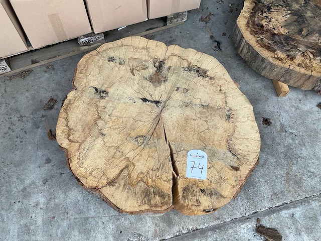 Beuken stamschijf 100 mm - afbeelding 2 van  2