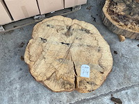 Beuken stamschijf 100 mm - afbeelding 2 van  2