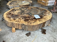 Beuken stamschijf 100 mm - afbeelding 1 van  2