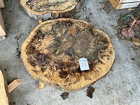 Beuken stamschijf 100 mm - afbeelding 2 van  2