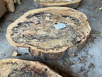 Beuken stamschijf 100 mm - afbeelding 1 van  2