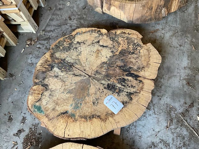 Beuken stamschijf 100 mm - afbeelding 2 van  2