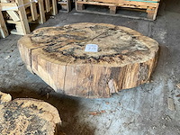 Beuken stamschijf 120-190 mm - afbeelding 1 van  3