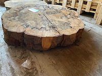 Beuken stamschijf 120-190 mm - afbeelding 2 van  3