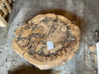 Beuken stamschijf 120-190 mm - afbeelding 3 van  3