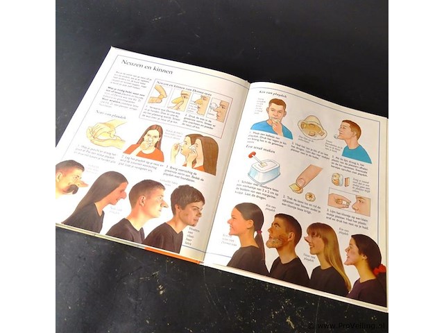 Bezig zijn met vermommingen - afbeelding 5 van  5