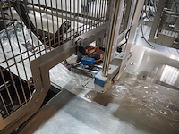 Bg pack spa - afbeelding 8 van  41