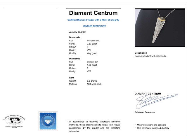 Bi-colour designer hanger met hoge kwaliteit diamant - afbeelding 3 van  9