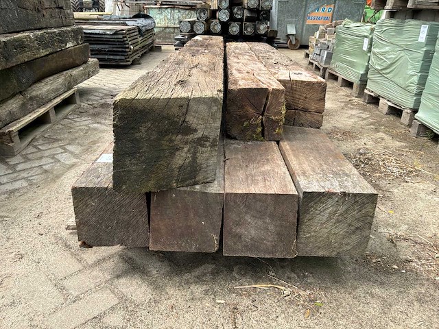 Biels (20x) - afbeelding 5 van  7