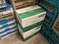 Bier- en frisdrankglazen (1250x) - afbeelding 1 van  1